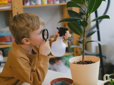 Your Little Explorer is a Scientist Too